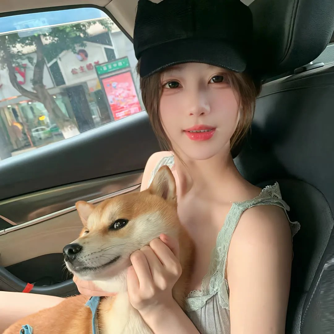 公主复仇者