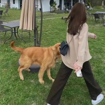 边境大逃杀